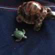 troc de troc tortues image 0