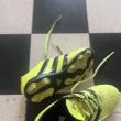 troc de troc chaussure foot pointure 36 image 1