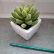 troc de troc lot 2 objets decoratifs image 0