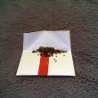 troc de troc graines de piment image 2