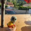 troc de troc tortue en crochet image 0