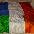troc de troc drapeaux image 0
