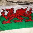 troc de troc drapeaux image 2