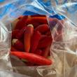 troc de troc piment bio fort de mon potager image 1