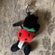 troc de troc coccinelle nici ventouse image 1