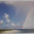 troc de troc cartes postales de paysages image 0