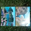 troc de troc 2 sets de table image 1