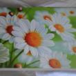 troc de troc carte marguerites en fleurs & son enveloppe blanche image 0