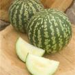 troc de troc melon d'eau vert image 0