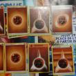 troc de troc lot cartes pokémons réserver ventura image 1