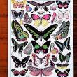 troc de troc affiche "papillons". image 0