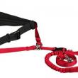 troc de troc harnais maitre + laisse - cani-cross image 1