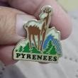 troc de troc un pins image 1