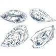 troc de troc recherche coquillages creux image 0