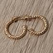 troc de troc reserver troqueuse une paire de boucle d oreille image 1