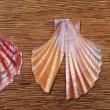 troc de troc 3 étiquettes "coquilles st jacques". image 0