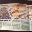 troc de troc livret sur les poissons 16 pages 19 5 cm sur 14 image 1