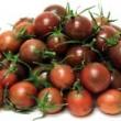 troc de troc tomate black cherry image 1