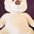 troc de troc maxi ours troc image 2