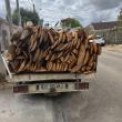 troc de troc Évacuation camion benne image 0