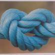 troc de troc reserve ginkgo carte postale amour 11 image 0