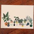 troc de troc carte postale "plantes et cactus". image 0