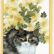 troc de troc reservees  2 cartes anniversaire image 0