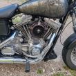 troc de troc Échange harley davidson image 2