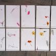 troc de troc cartes à messages oiseaux. image 1