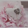 troc de troc dispo carte postale amour 60 image 0