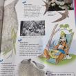 troc de troc livre disney - les oiseaux image 1