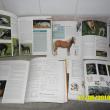 troc de troc urgent - les equiguides - 4 tomes - julie deutsch image 2