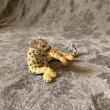 troc de troc figurine guépard 12,5cm de large approx. image 1