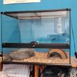 troc de troc echange terrarium image 0