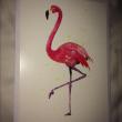 troc de troc carte postale flamant rose & son enveloppe blanche image 0