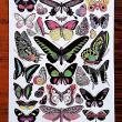troc de troc affiche "papillons". image 1