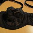 troc de troc soutien gorge dim 85b image 1