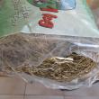 troc de troc hamster image 1