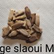 troc de troc courge slaoui maroc image 0