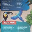 troc de troc magazine enfant image 2