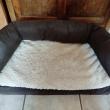 troc de troc coussin canapé pour chien image 0
