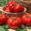 troc de troc 42 - tomate de marmande graines image 0