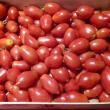 troc de troc n°1 - tomates mamie graines image 0