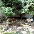 troc de troc bois de chauffage image 0
