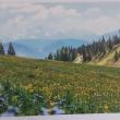 troc de troc cartes postales paysages image 0