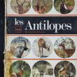 troc de troc les antilopes image 0