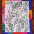 troc de troc coloriage recto/verso. image 0