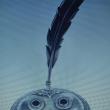 troc de troc cherche repose plume image 1