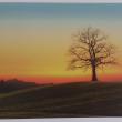 troc de troc cartes postales paysages image 0