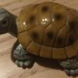 troc de troc cheloniophilie - tortue résine image 1